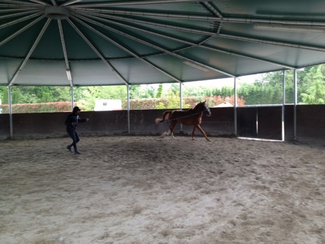  Riding Club on Lake Maggiore